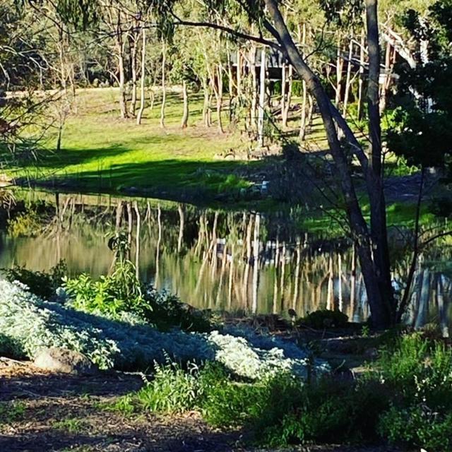 ستانثورب Granite Gardens Cottages & Lake Retreat المظهر الخارجي الصورة