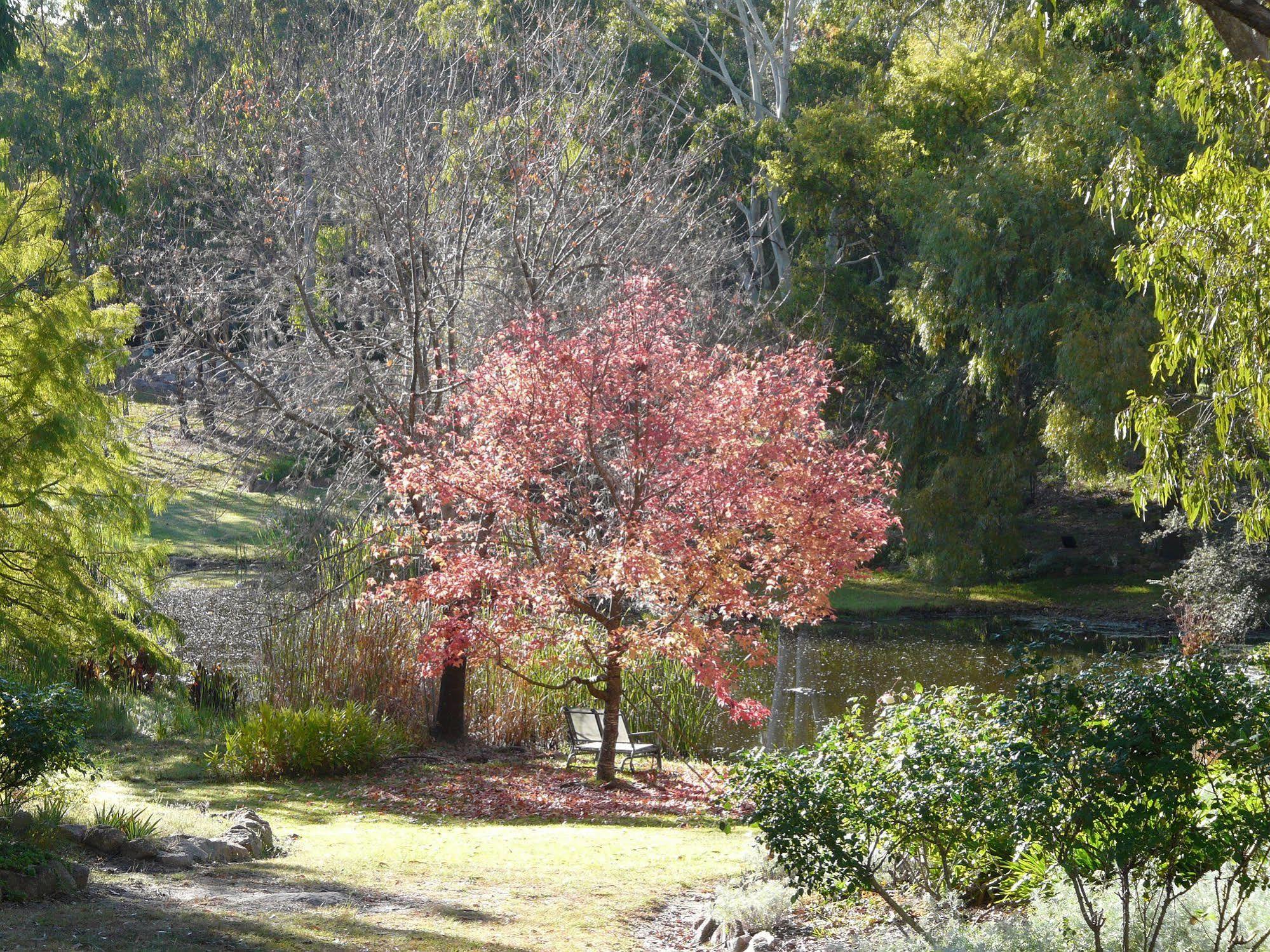 ستانثورب Granite Gardens Cottages & Lake Retreat المظهر الخارجي الصورة